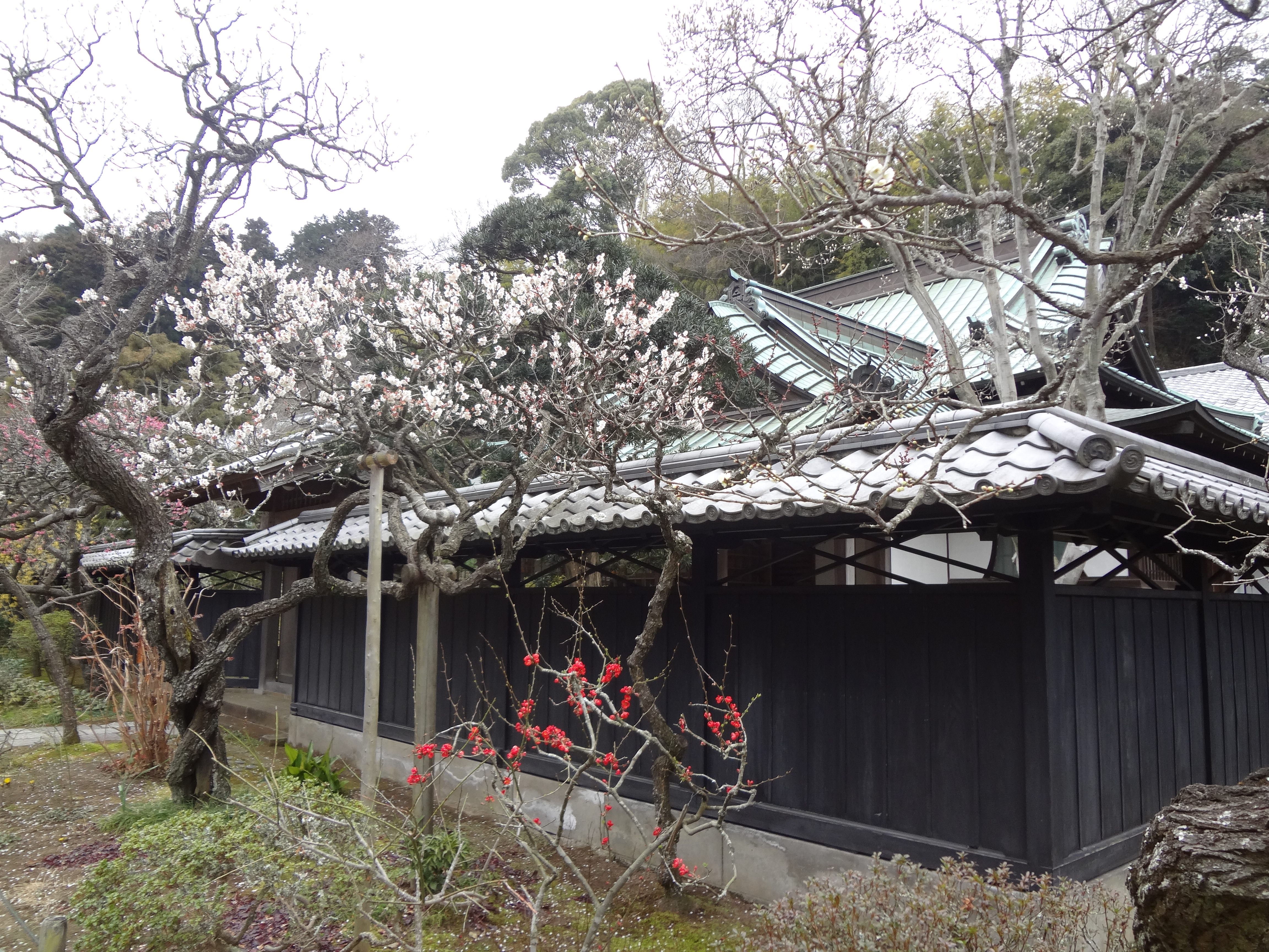 Photograph of Travelogue of Building And BuddhismStatue in Paragraph08 Number01