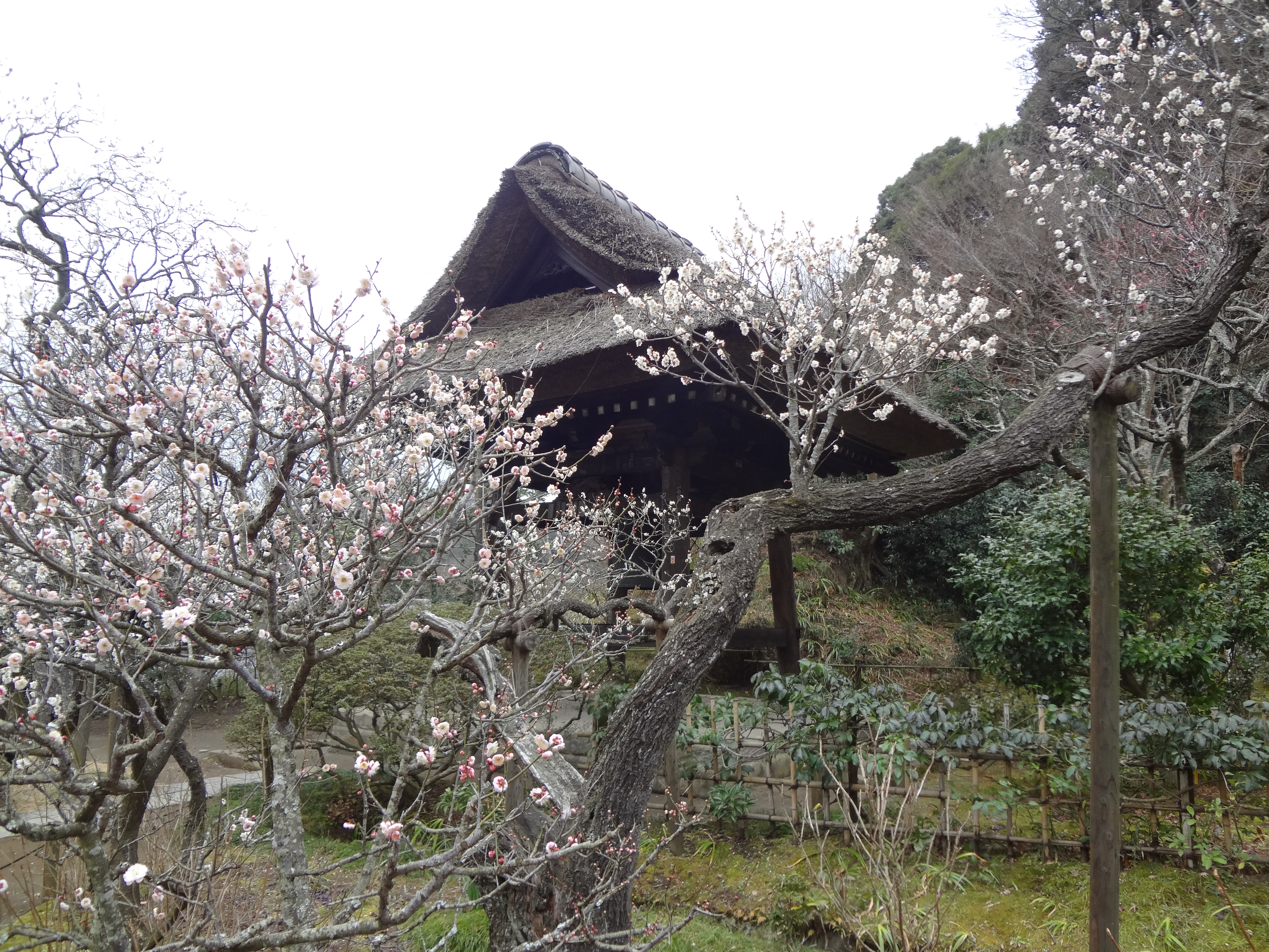 Photograph of Travelogue of Building And BuddhismStatue in Paragraph08 Number03