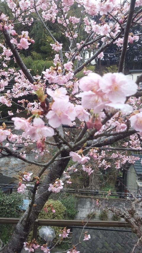 Photograph of Travelogue of Building And BuddhismStatue in Paragraph08 Number04