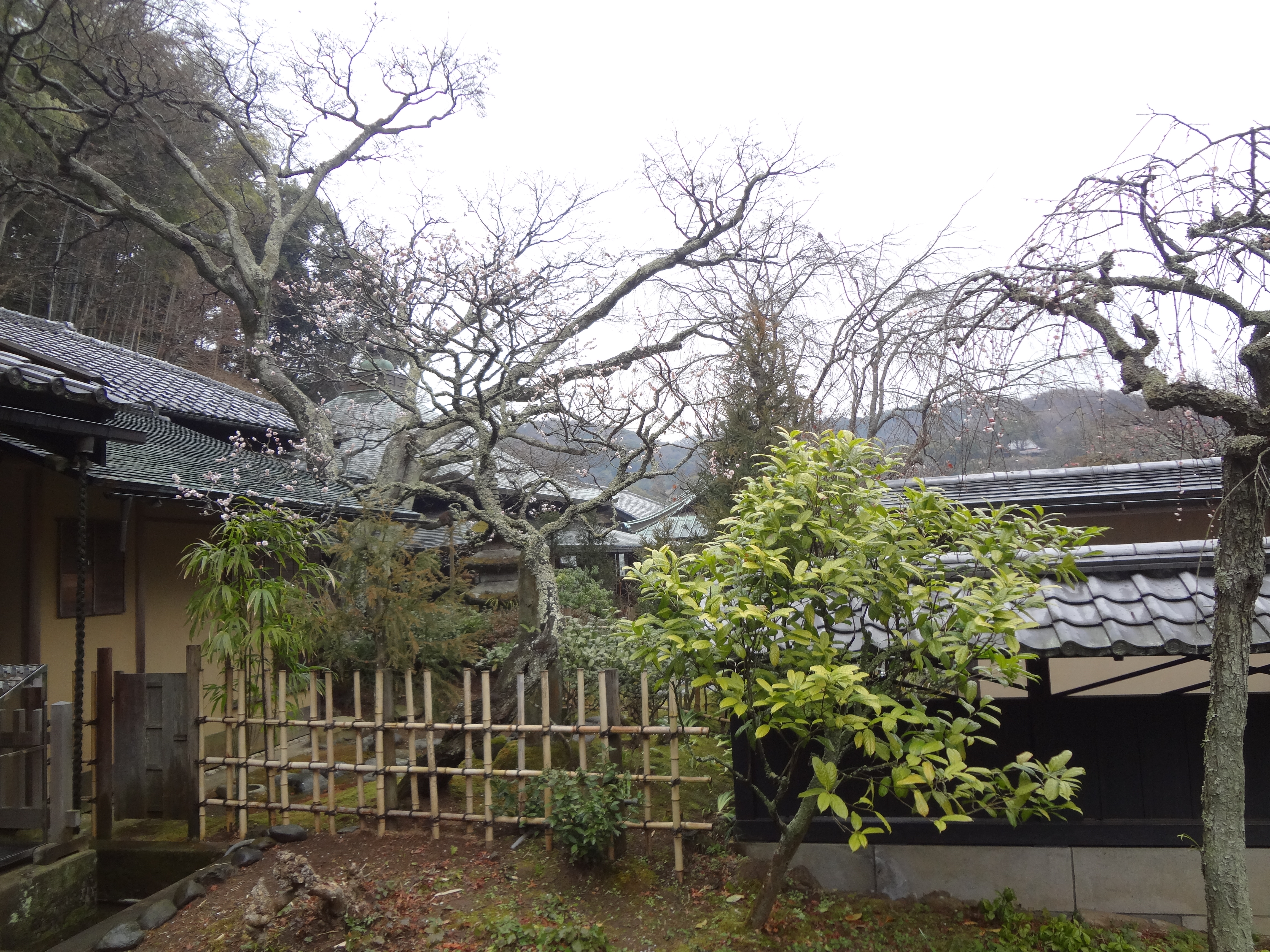 Photograph of Travelogue of Building And BuddhismStatue in Paragraph08 Number05