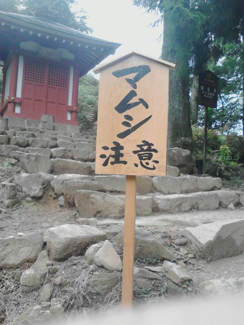 Photograph of Travelogue of Building And BuddhismStatue in Paragraph26 Number05